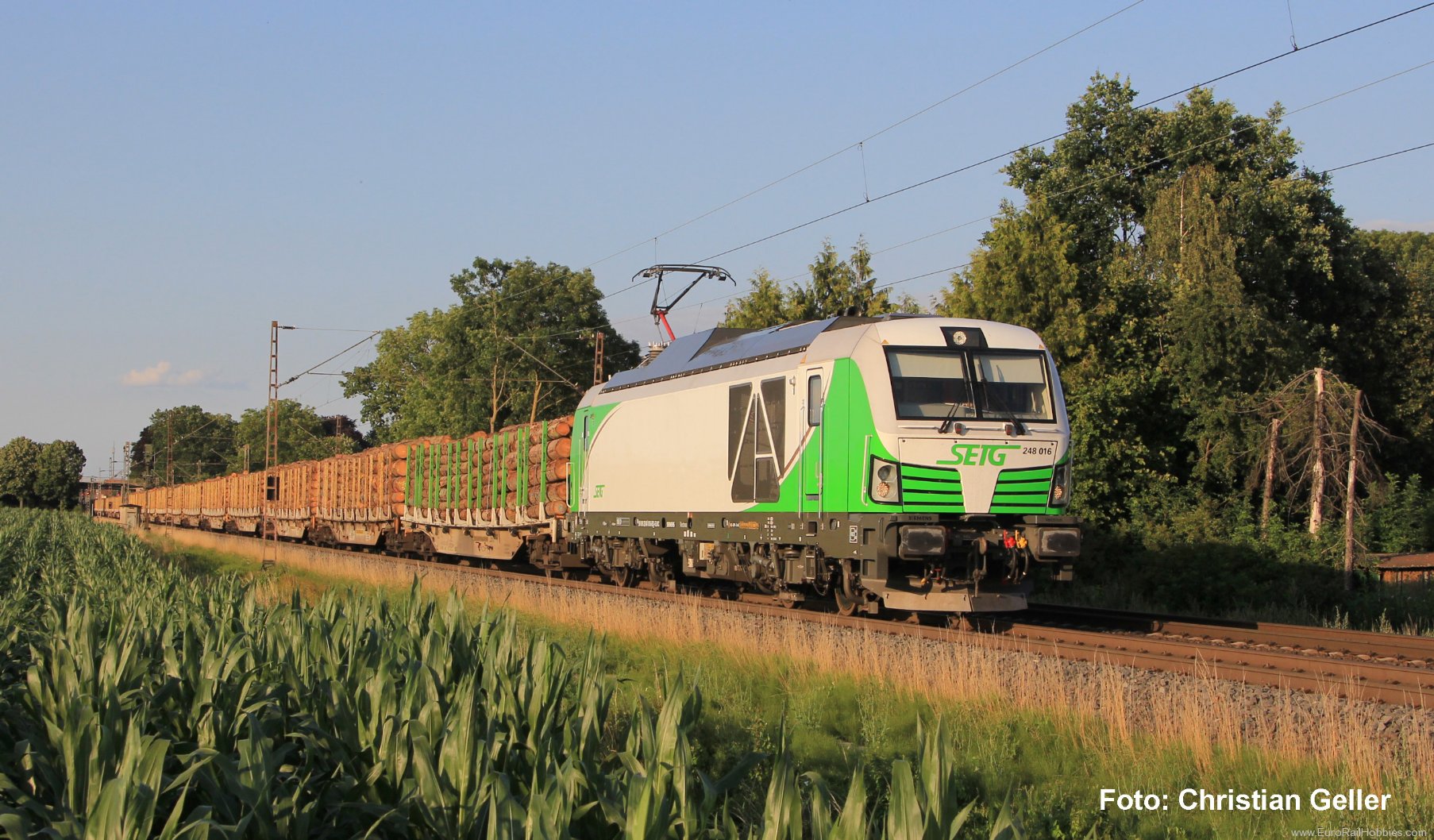 Piko 21841 SETG BR 248 Electric/Diesel Locomotive (Markl