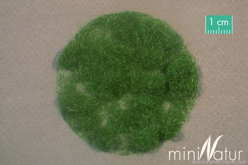 Silhouette Silflor MiniNatur 004-12 Gras-Flock 4,5 mm  , Summer 250g