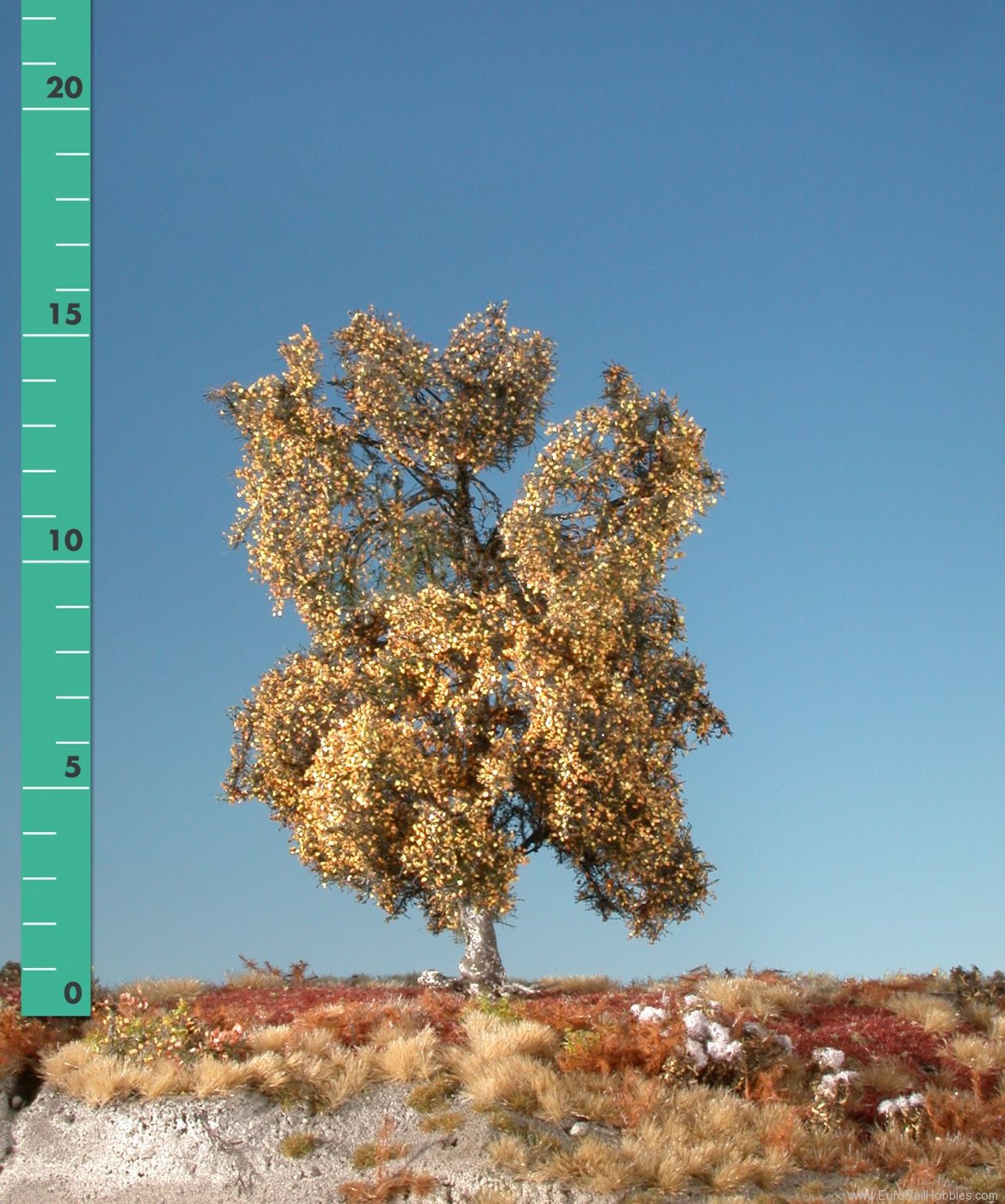 Silhouette Silflor MiniNatur 210-14 Moorbirke/ Moor birch, Late Fall 