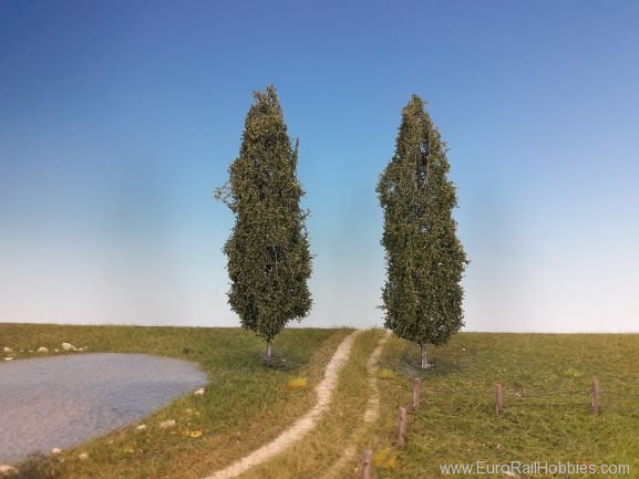 Silhouette Silflor MiniNatur 213-12 Lombardy Poplar, Summer 10-13cm
