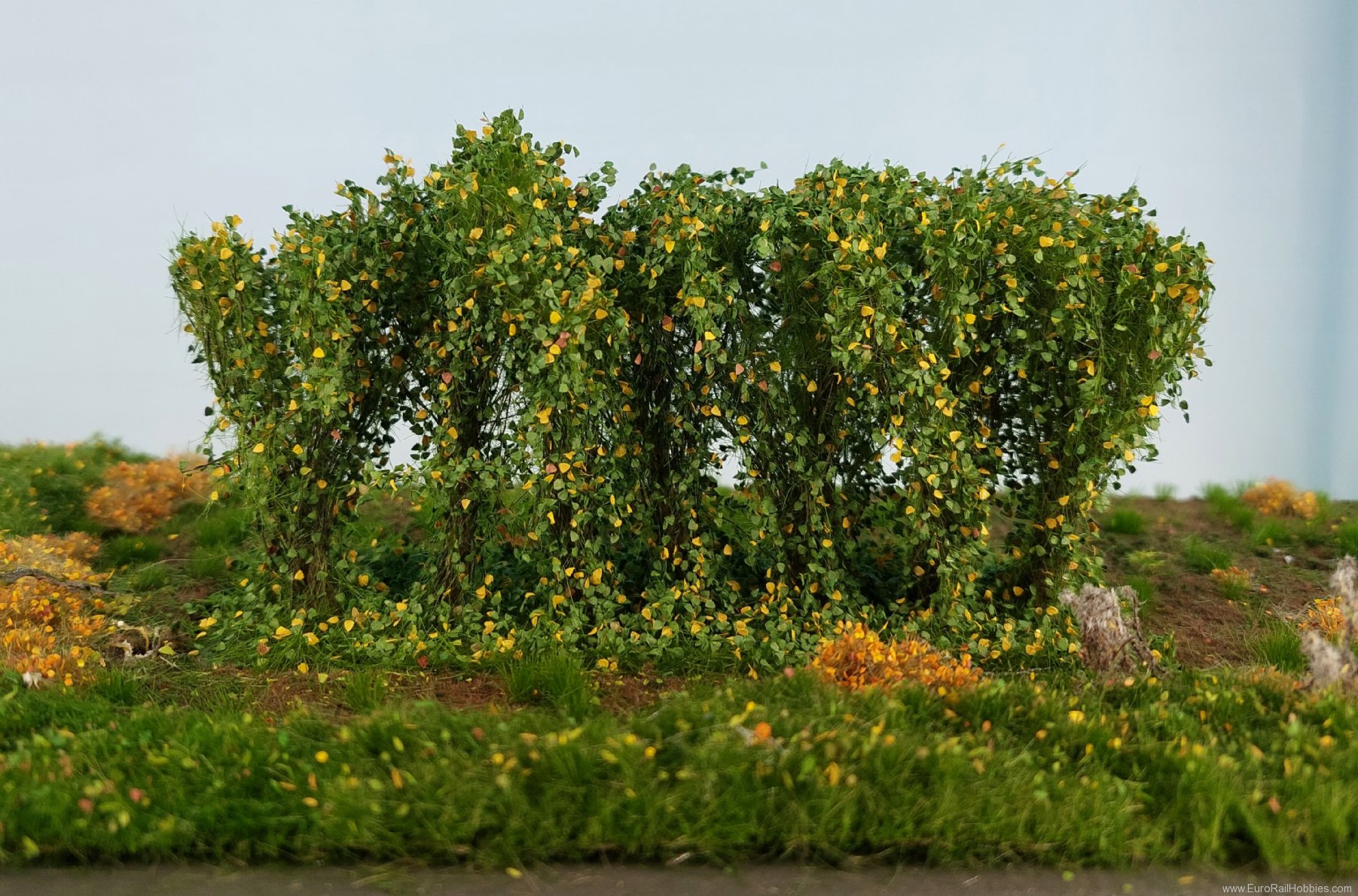 Silhouette Silflor MiniNatur 254-43 Hedges, Early Fall 