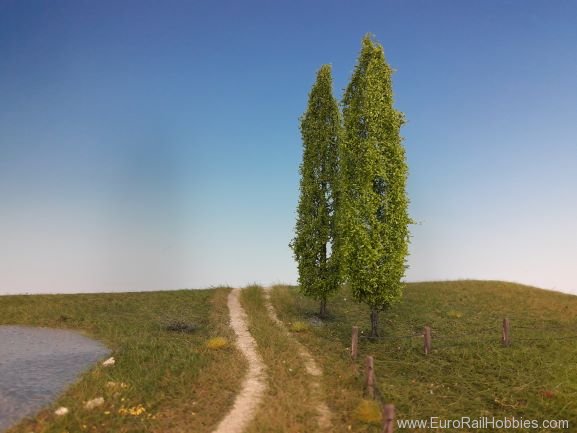 Silhouette Silflor MiniNatur 313-003-1 Poplar Tree, Spring 35-39cm