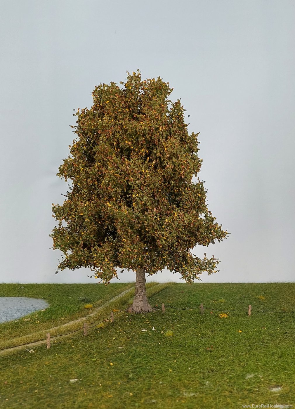 Silhouette Silflor MiniNatur 320-000-3 Beech Tree, Early Fall 20-25cm