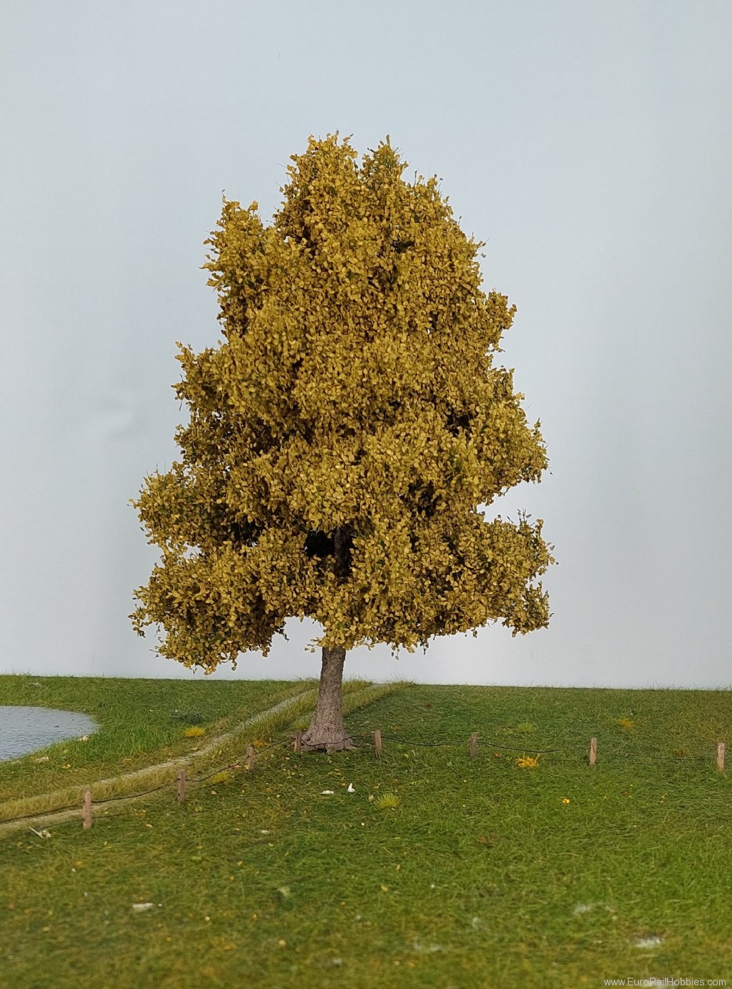 Silhouette Silflor MiniNatur 320-001-1 Beech Tree, Spring 25-29cm