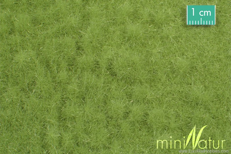 Silhouette Silflor MiniNatur 713-21MS Viehweide /Cattle pasture, Spring 