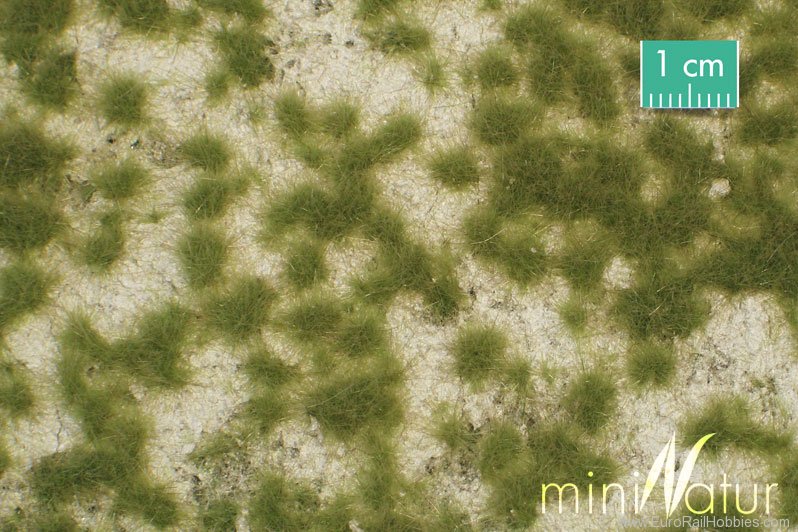 Silhouette Silflor MiniNatur 719-21MS Karstwiese (Calcareous meadow, Spring 