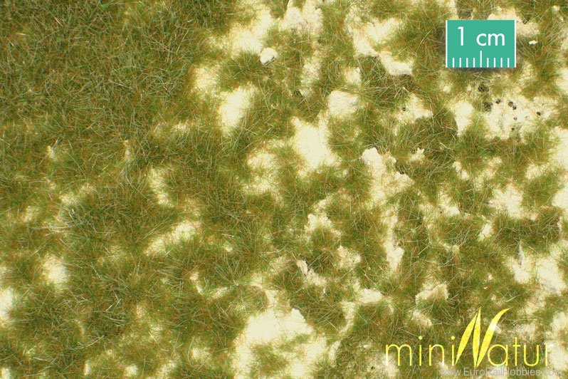 Silhouette Silflor MiniNatur 719-23S Calcareous Meadow, Early Fall   31,5x25 cm