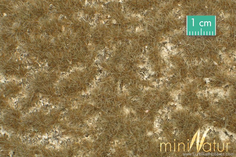 Silhouette Silflor MiniNatur 719-24MS Karstwiese (Calcareous meadow, Late Fall 