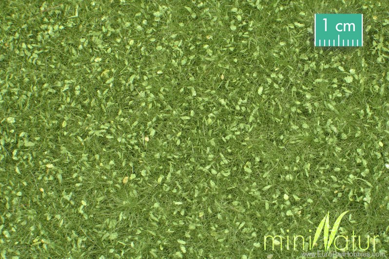 Silhouette Silflor MiniNatur 721-31H Pasture with Weeds, Spring   50x31,5 cm