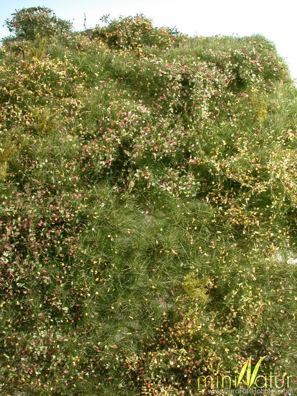 Silhouette Silflor MiniNatur 732-23S Wild Growth Area, Early Fall   25x15,5 cm