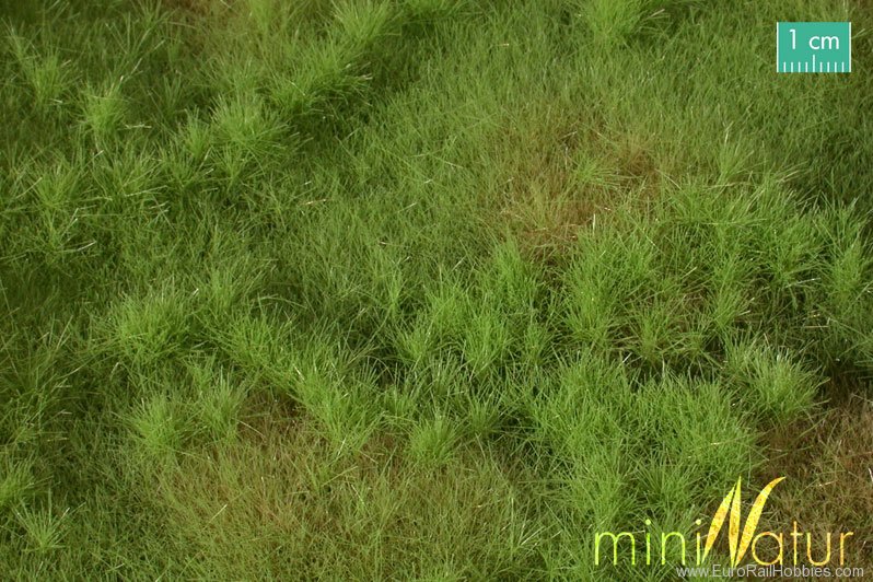 Silhouette Silflor MiniNatur 733-21H Fertile Plain Meadow, Spring   50x31,5 cm