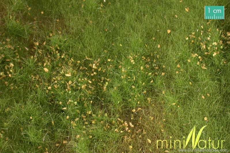 Silhouette Silflor MiniNatur 734-21S Fertile Plain Meadow with Weeds, Spring   25x