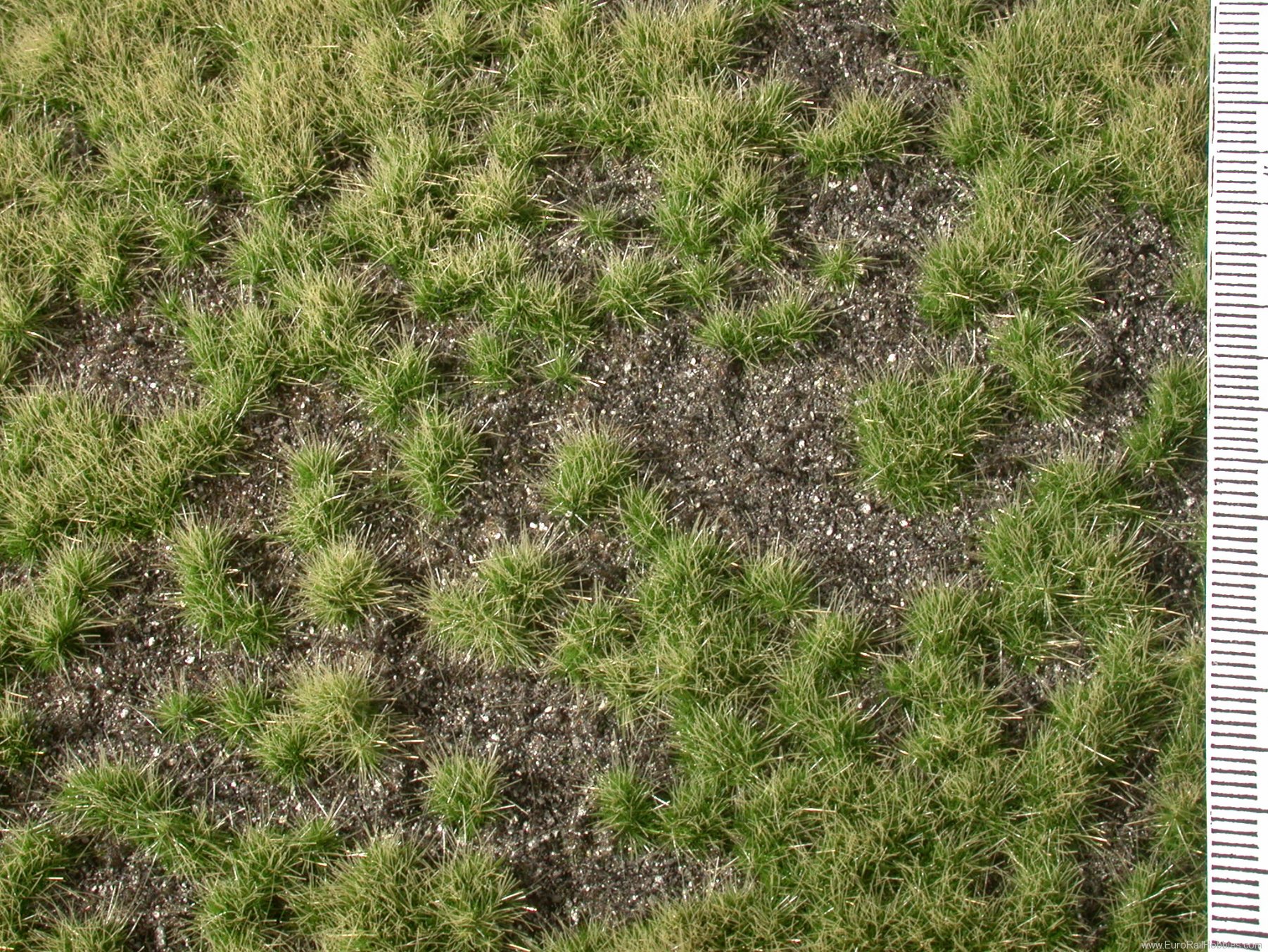 Silhouette Silflor MiniNatur 735-22H Overgrown Dark Ground, Summer   50x31,5 cm