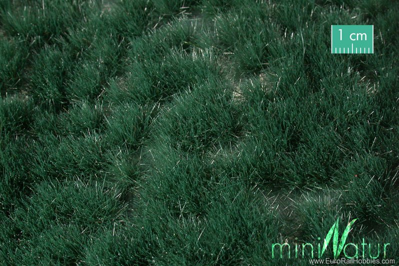 Silhouette Silflor MiniNatur 739-22S Reed Grass Tufts, Summer  15x8 cm