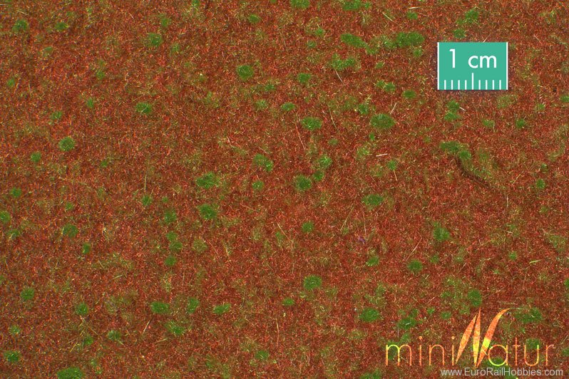 Silhouette Silflor MiniNatur 740-22G Forest Ground Cover, Summer   63x50 cm