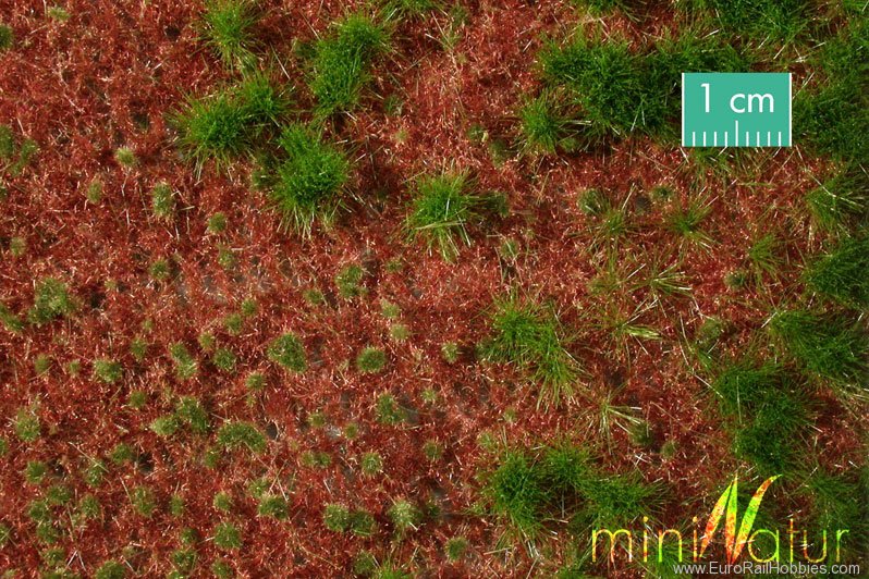 Silhouette Silflor MiniNatur 741-22H Overgrown Forest Ground Cover, Summer   50x31