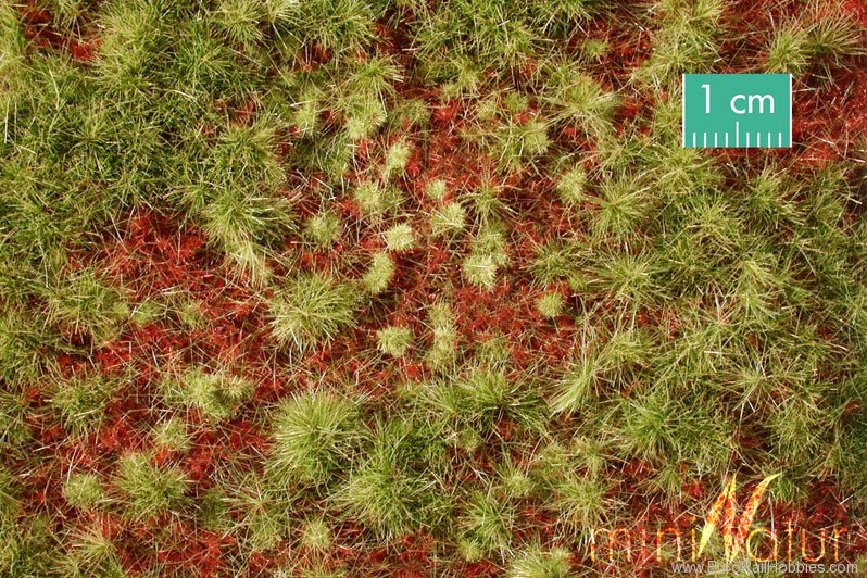 Silhouette Silflor MiniNatur 741-23H Overgrown Forest Ground Cover, Early Fall   5