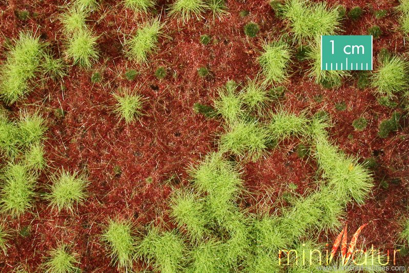 Silhouette Silflor MiniNatur 741-31S Overgrown Forest Ground Cover, Spring   31,5x