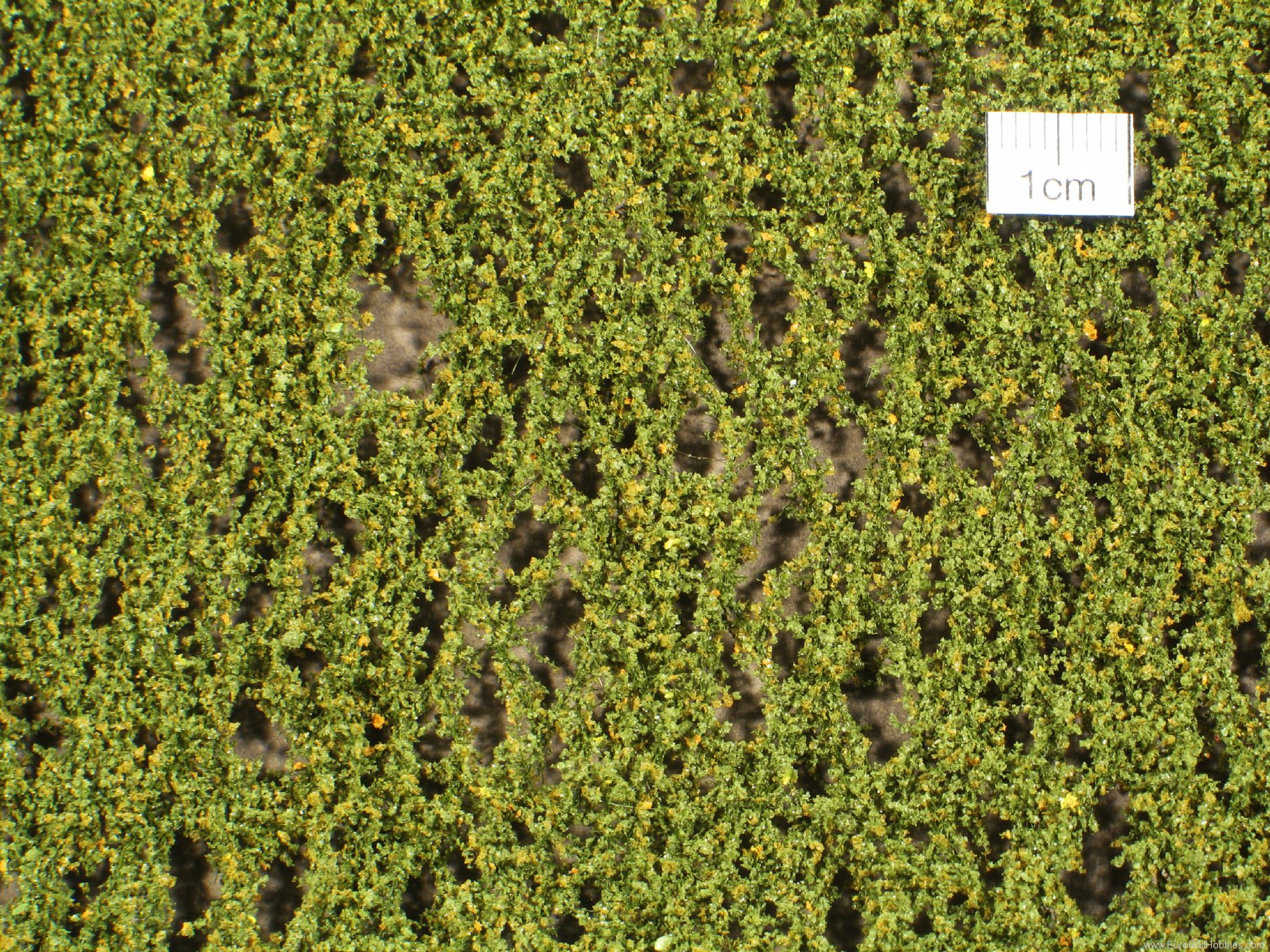 Silhouette Silflor MiniNatur 910-13 Birch foliage, Early Fall   27x15 cm