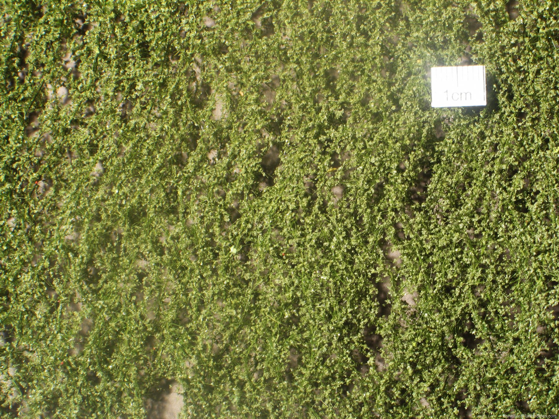 Silhouette Silflor MiniNatur 910-32S Birch foliage, Summer  15x4 cm