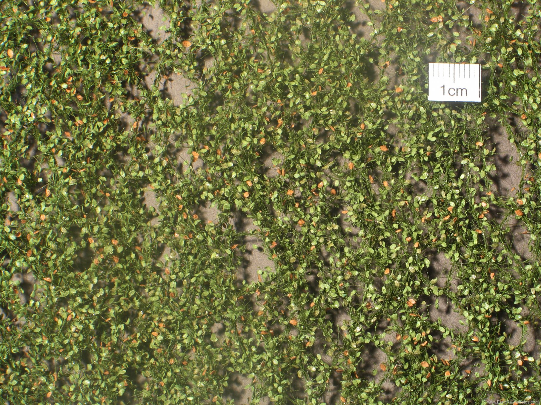 Silhouette Silflor MiniNatur 920-23 Beech foliage, Early Fall   27x15 cm