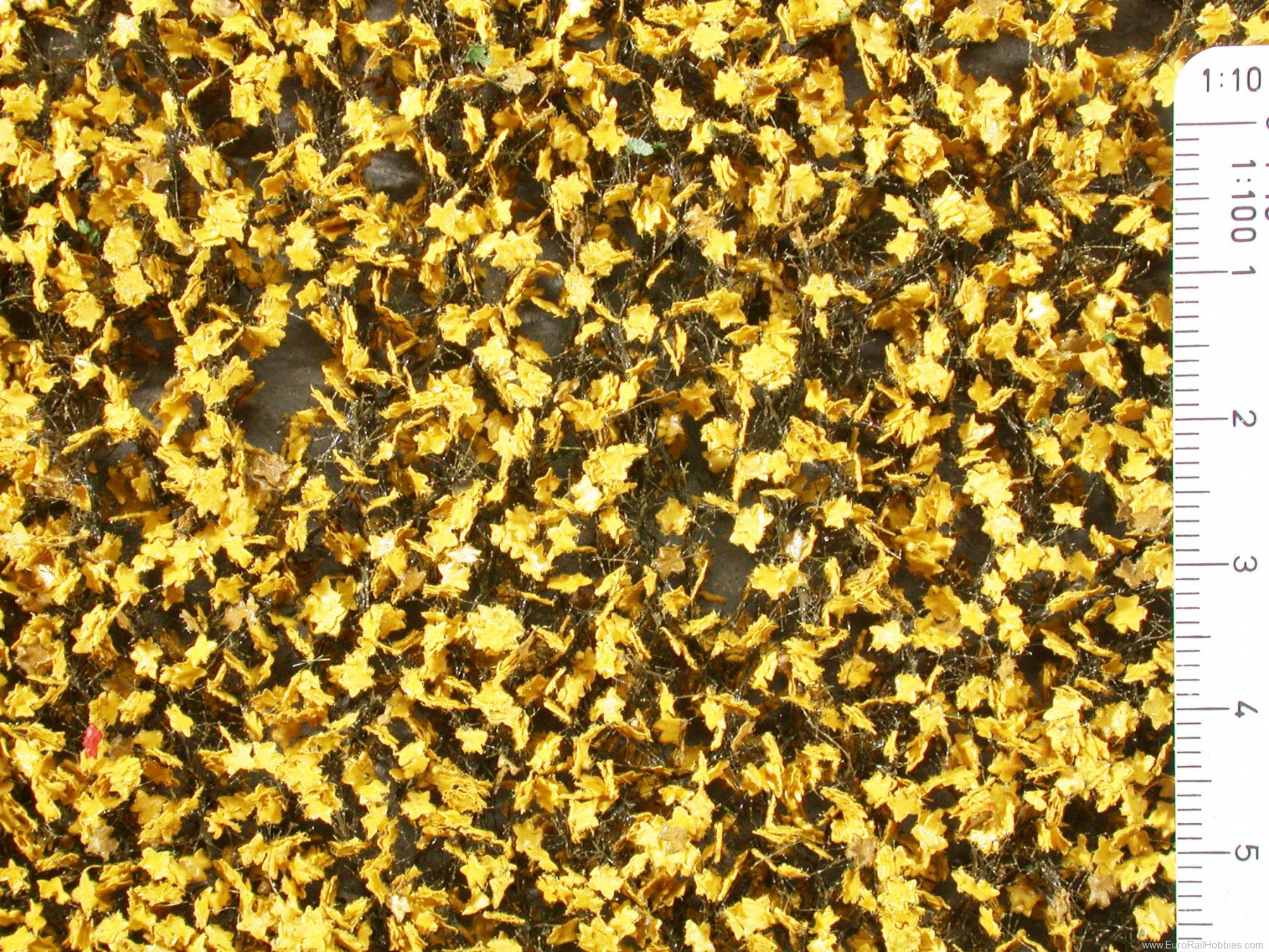 Silhouette Silflor MiniNatur 930-22MS Ahornlaub / Maple foliage, Late Fall 