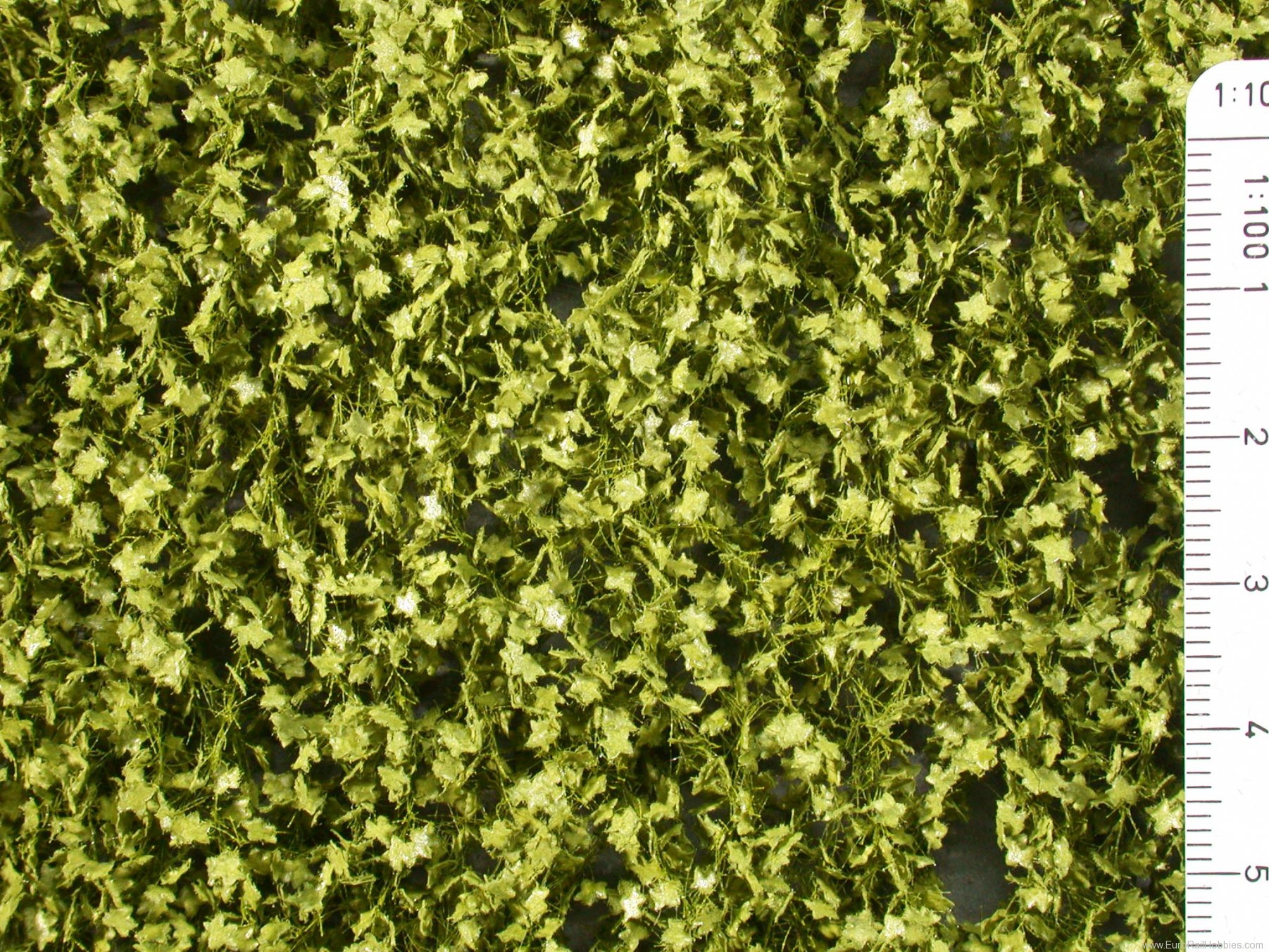 Silhouette Silflor MiniNatur 933-21S Plane tree leaves, Spring  15x4 cm