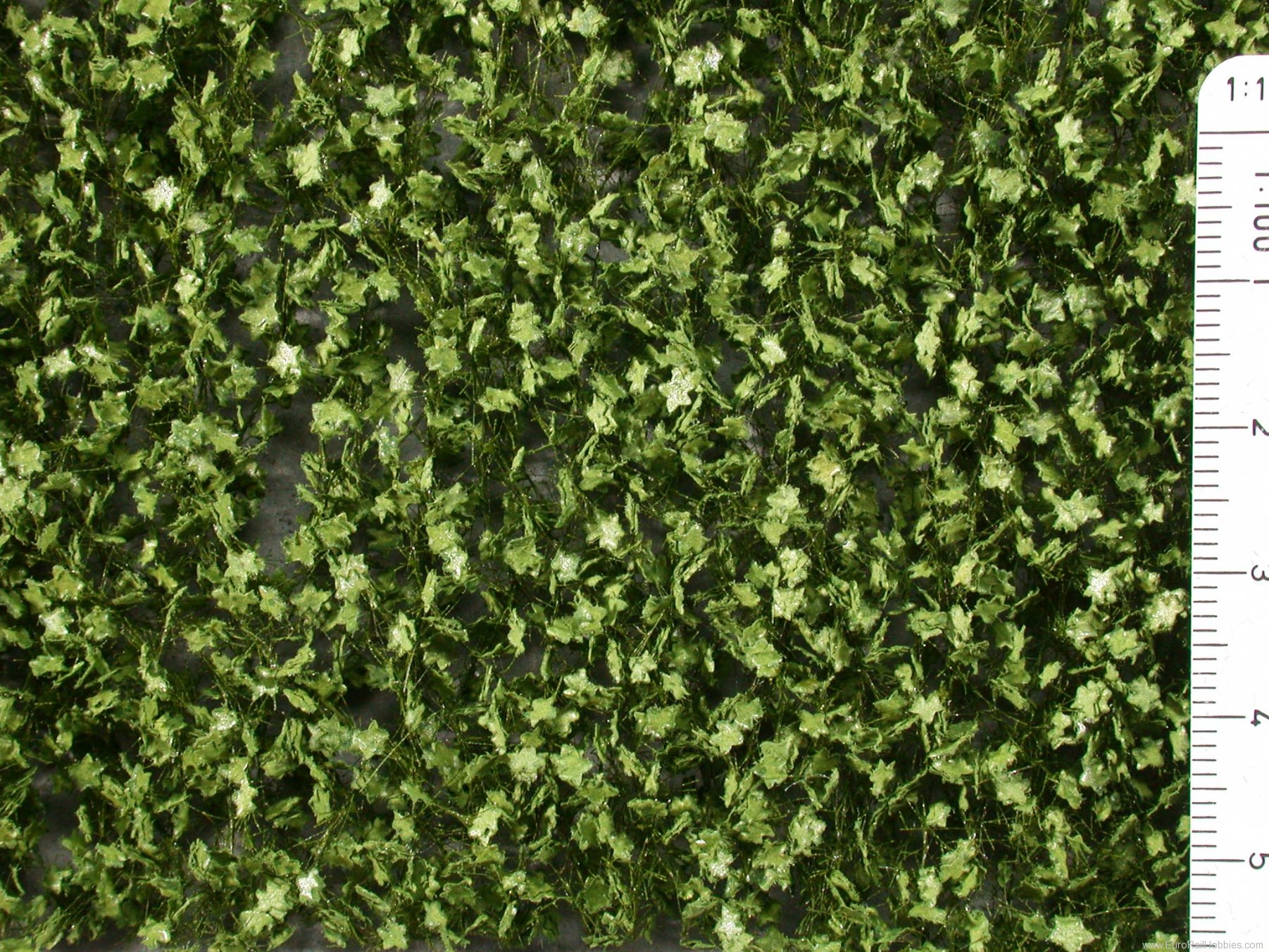 Silhouette Silflor MiniNatur 933-22S Plane tree leaves, Summer  15x4 cm