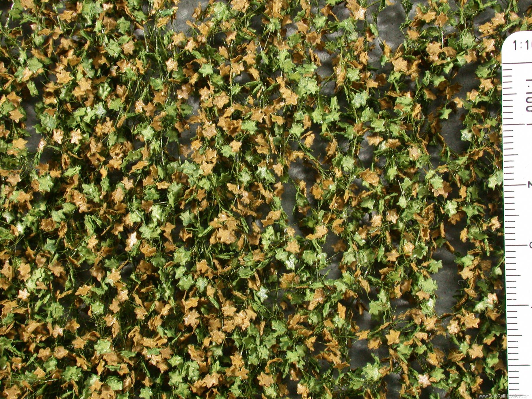 Silhouette Silflor MiniNatur 933-23S Plane tree leaves, Early Fall  15x4 cm
