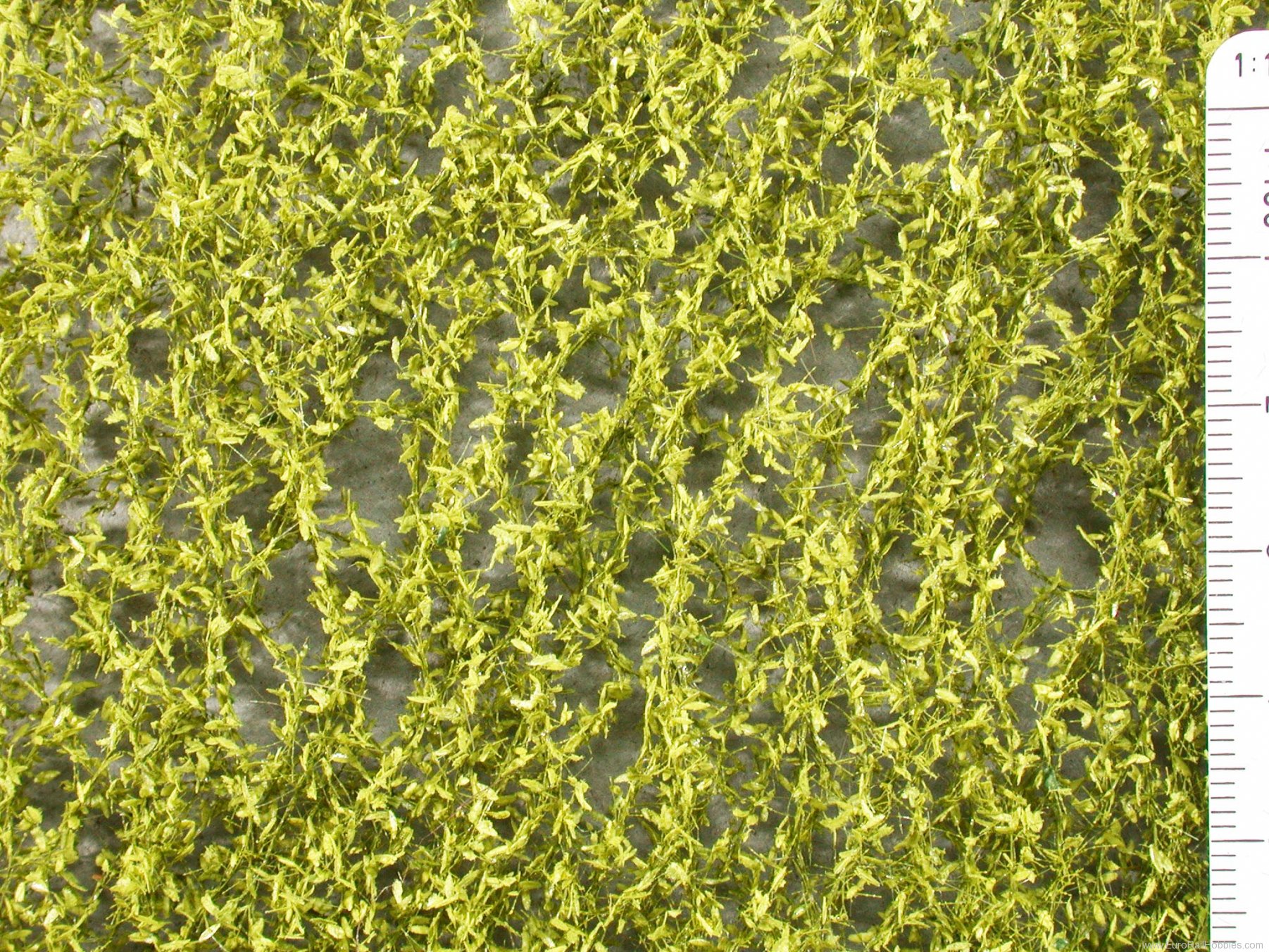 Silhouette Silflor MiniNatur 940-21S Weeping Willow foliage, Spring  15x4 cm