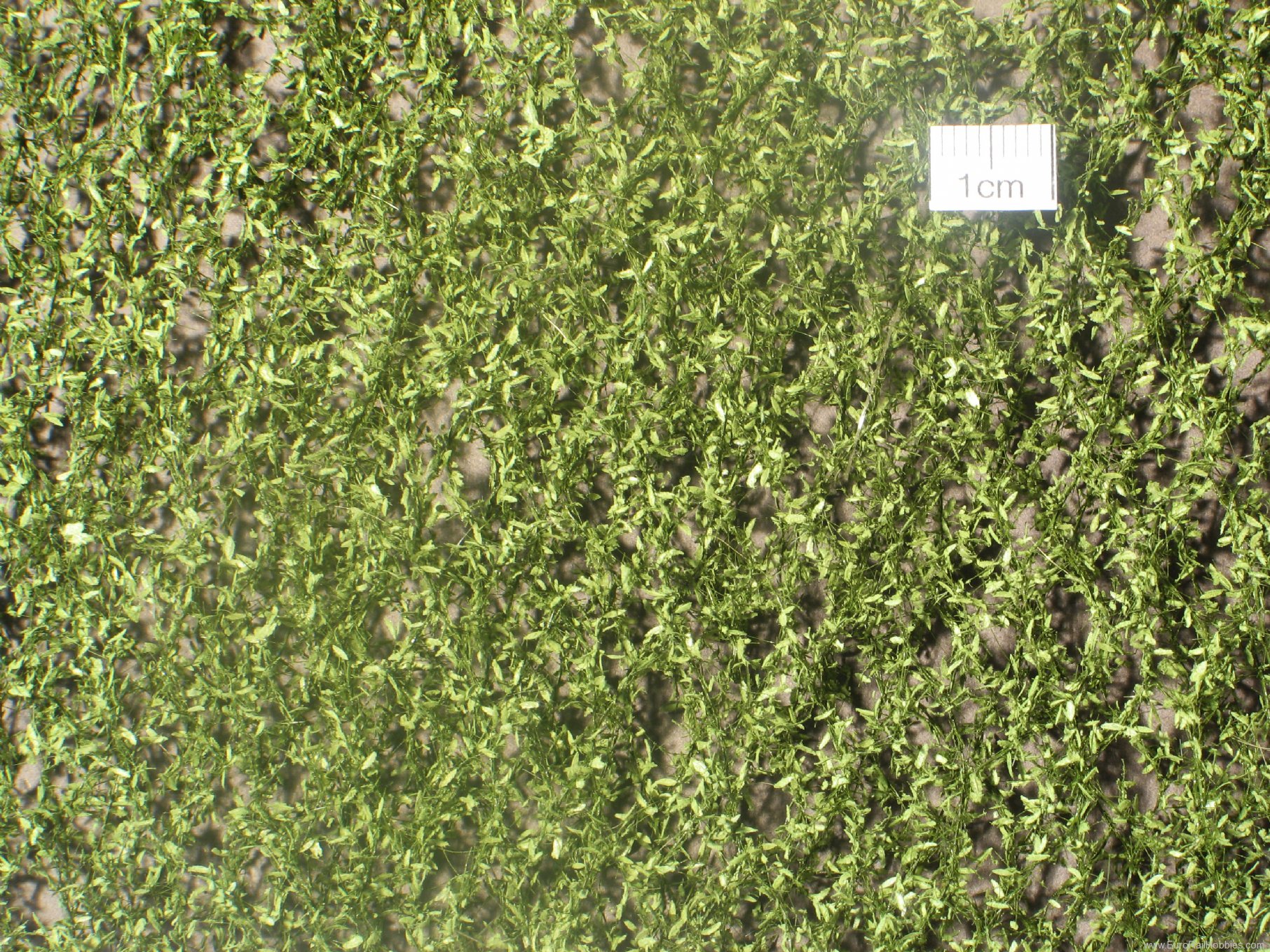 Silhouette Silflor MiniNatur 940-22MS Trauerweidenlaub /  Weeping willow foliage, S