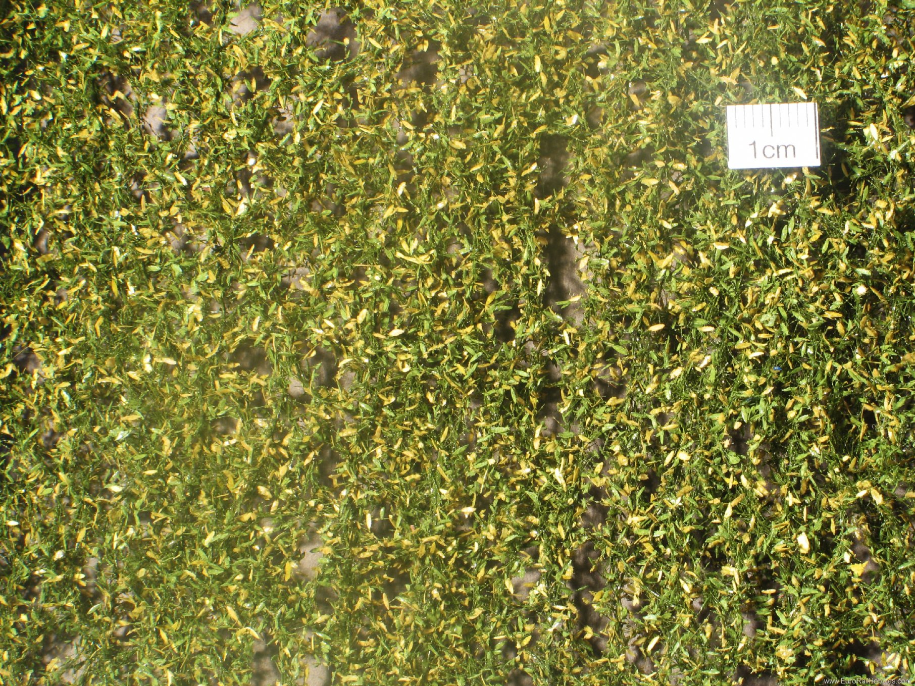 Silhouette Silflor MiniNatur 940-23H Weeping Willow foliage, Early Fall   50x31,5 