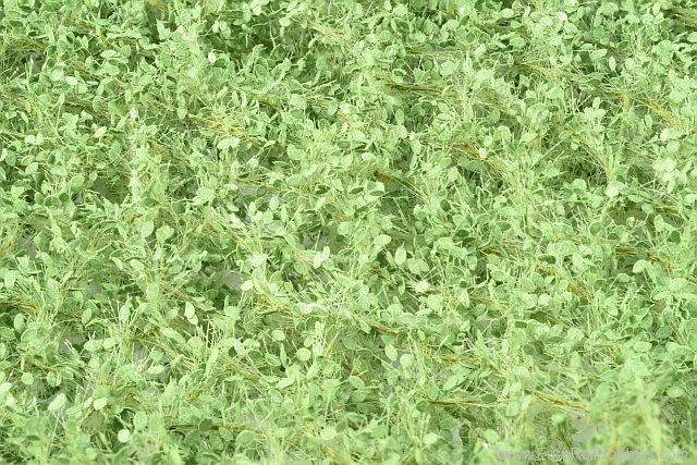 Silhouette Silflor MiniNatur 942-32S Lime foliage, Summer  15x4 cm