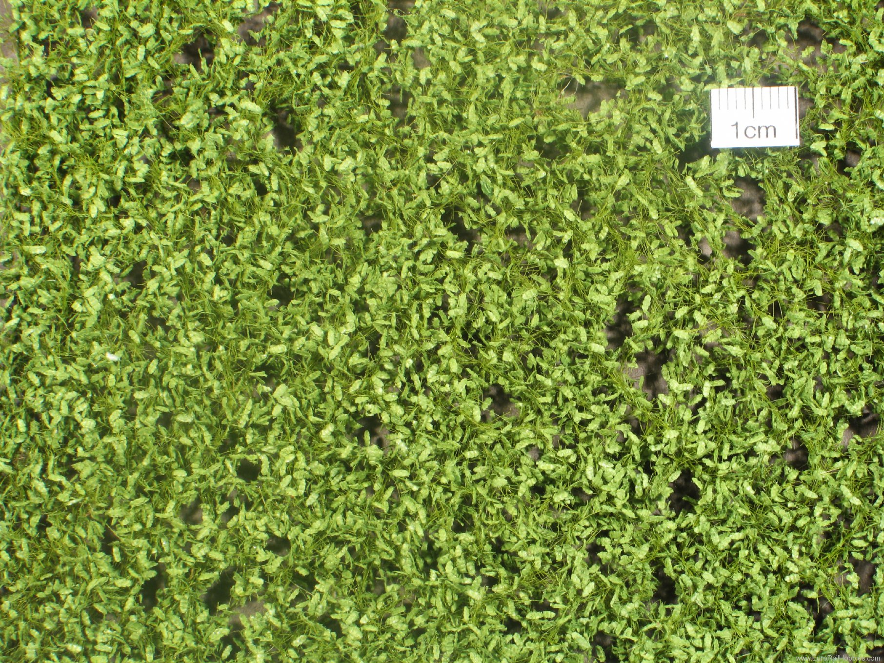 Silhouette Silflor MiniNatur 980-11H Oak foliage, Spring   50x31,5 cm