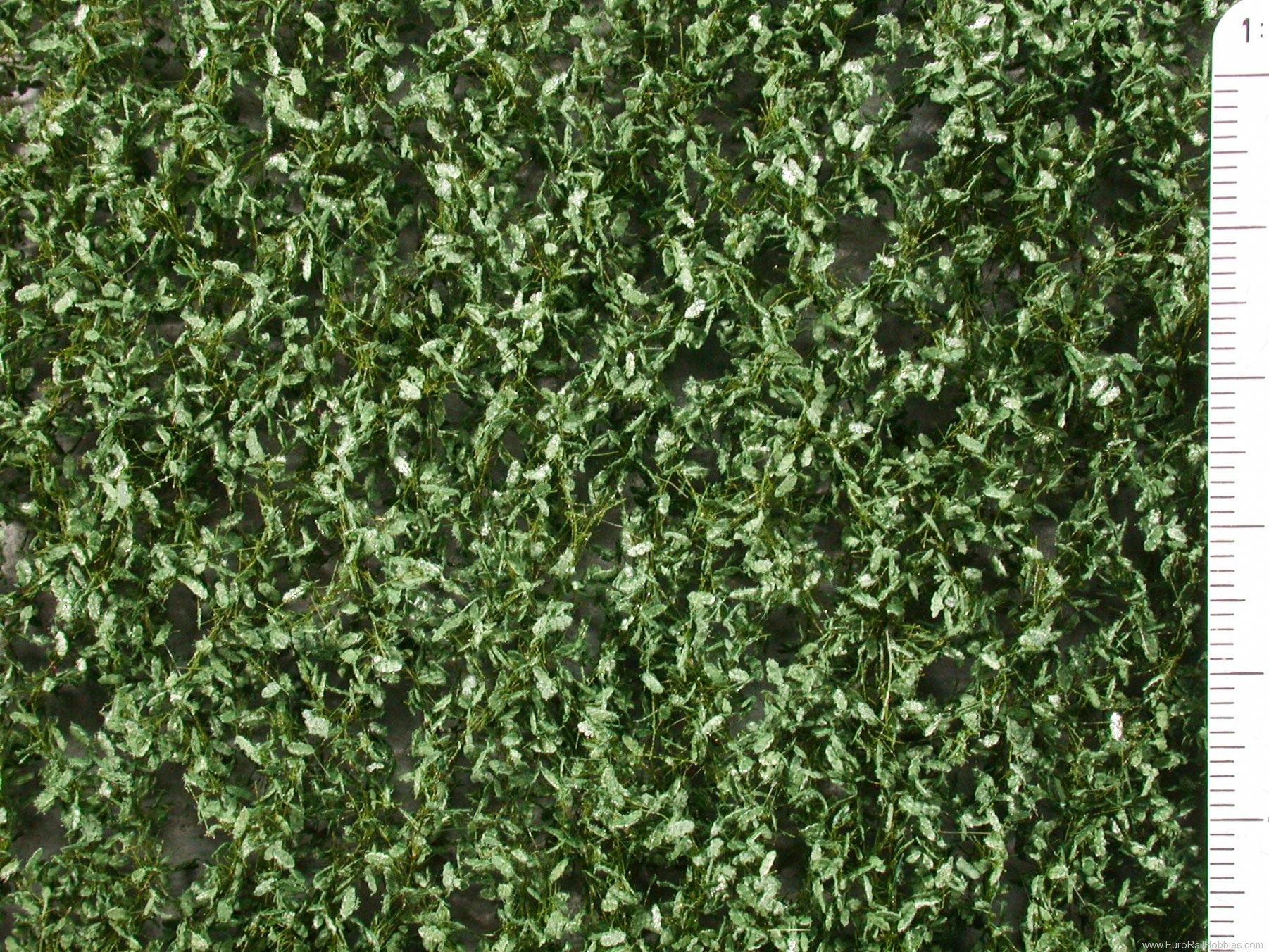 Silhouette Silflor MiniNatur 980-22S Oak foliage, Summer  15x4 cm